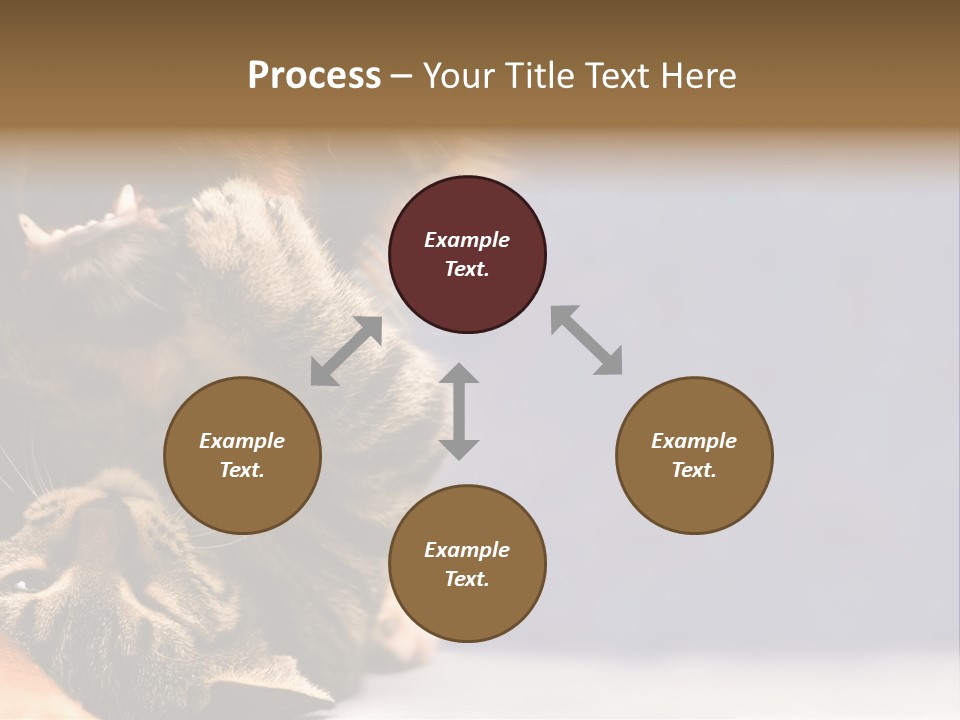 Face Young Pet PowerPoint Template