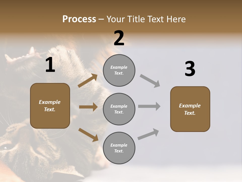 Face Young Pet PowerPoint Template