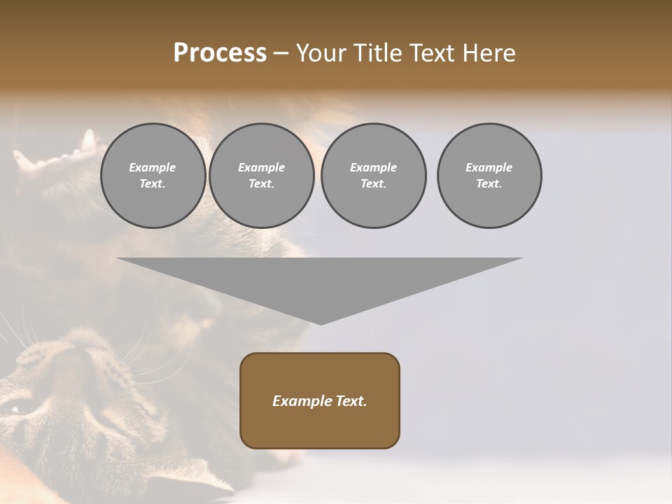 Face Young Pet PowerPoint Template