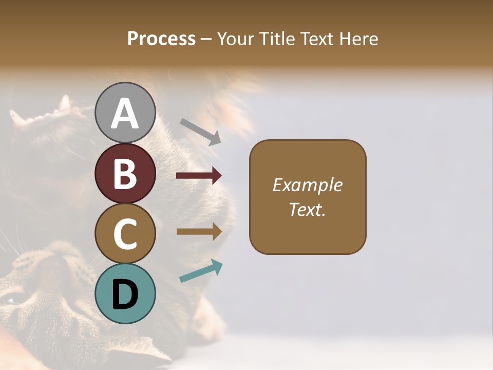 Face Young Pet PowerPoint Template