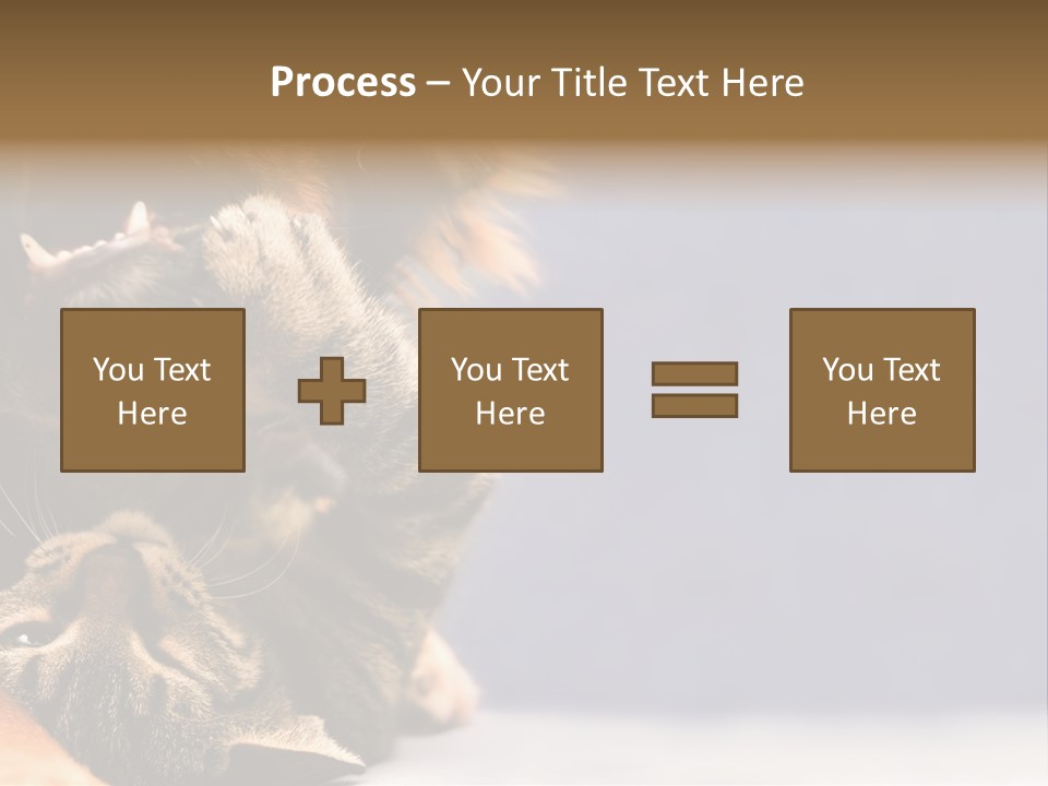 Face Young Pet PowerPoint Template