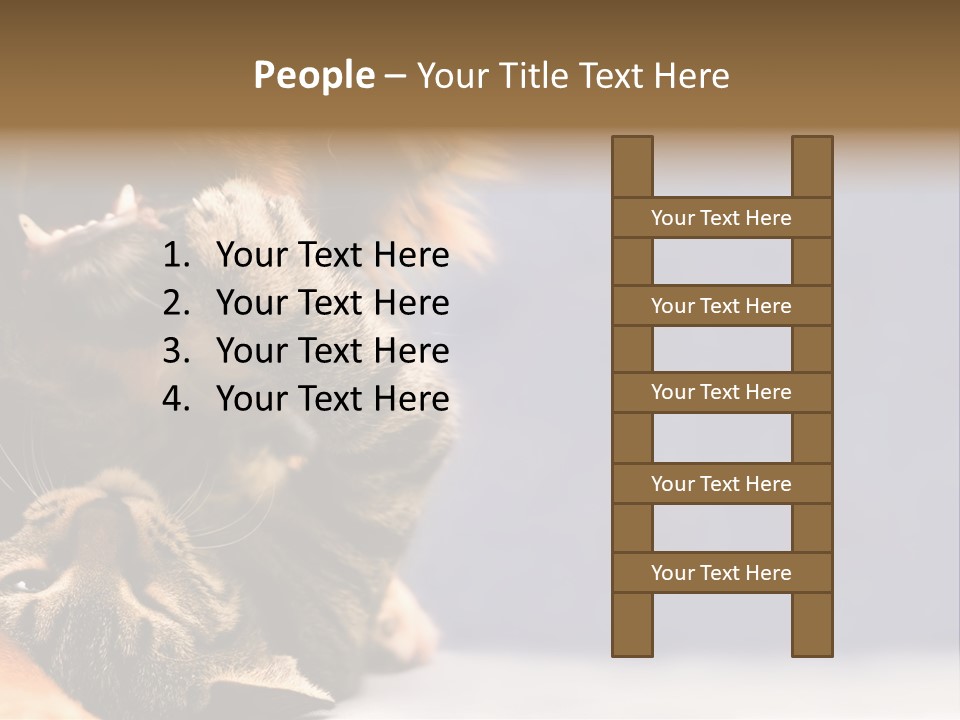 Face Young Pet PowerPoint Template