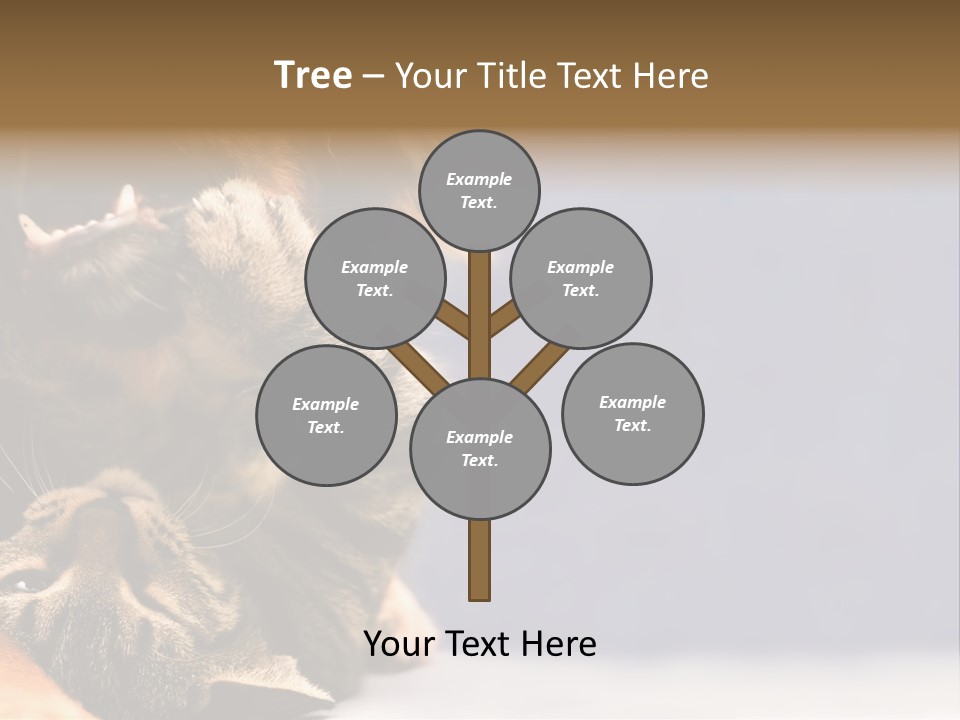 Face Young Pet PowerPoint Template