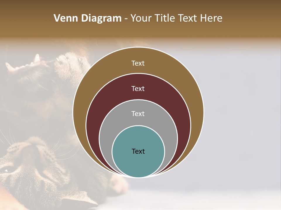 Face Young Pet PowerPoint Template