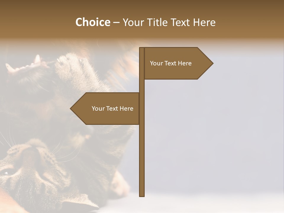 Face Young Pet PowerPoint Template