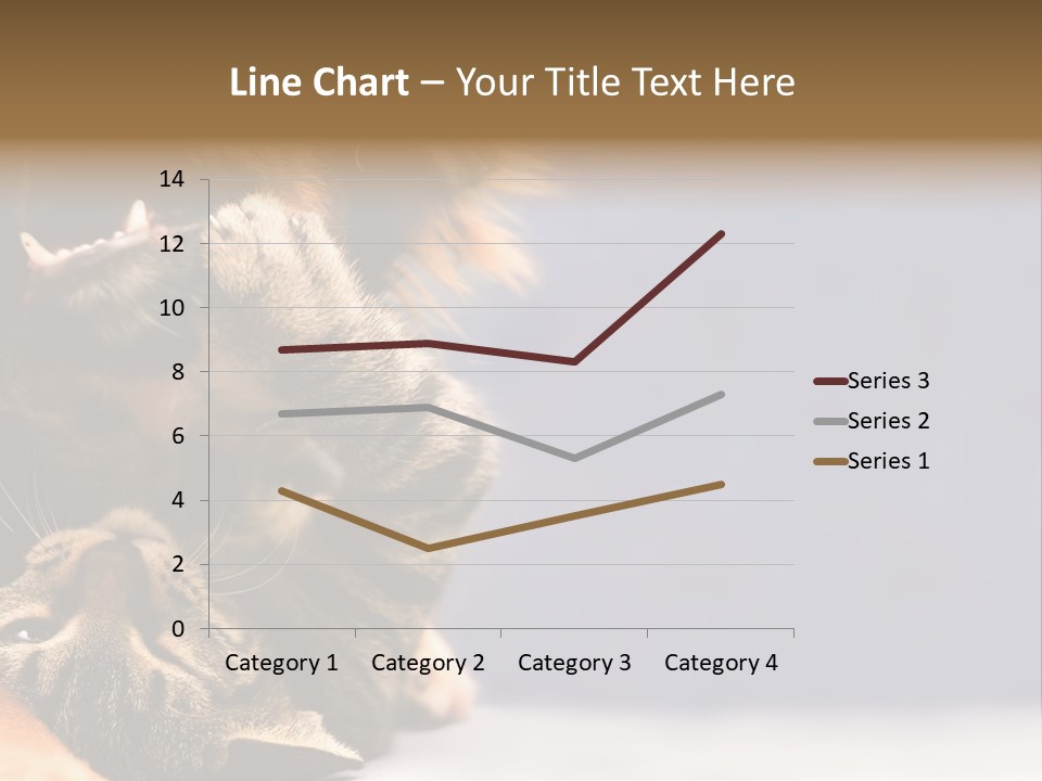 Face Young Pet PowerPoint Template