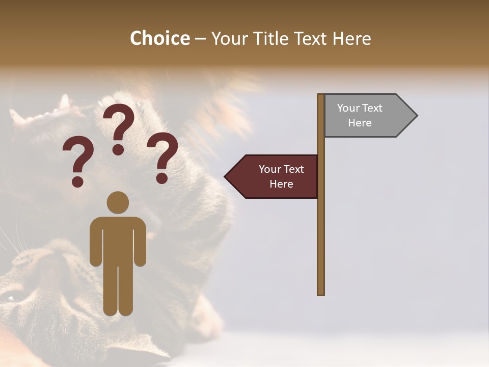 Face Young Pet PowerPoint Template