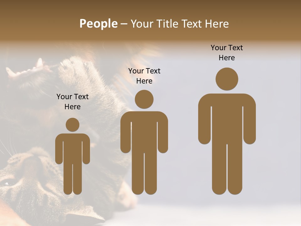 Face Young Pet PowerPoint Template