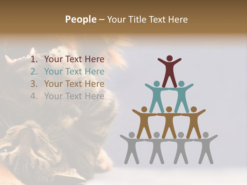 Face Young Pet PowerPoint Template