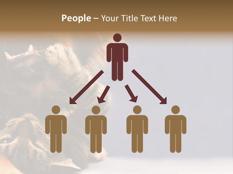 Face Young Pet PowerPoint Template