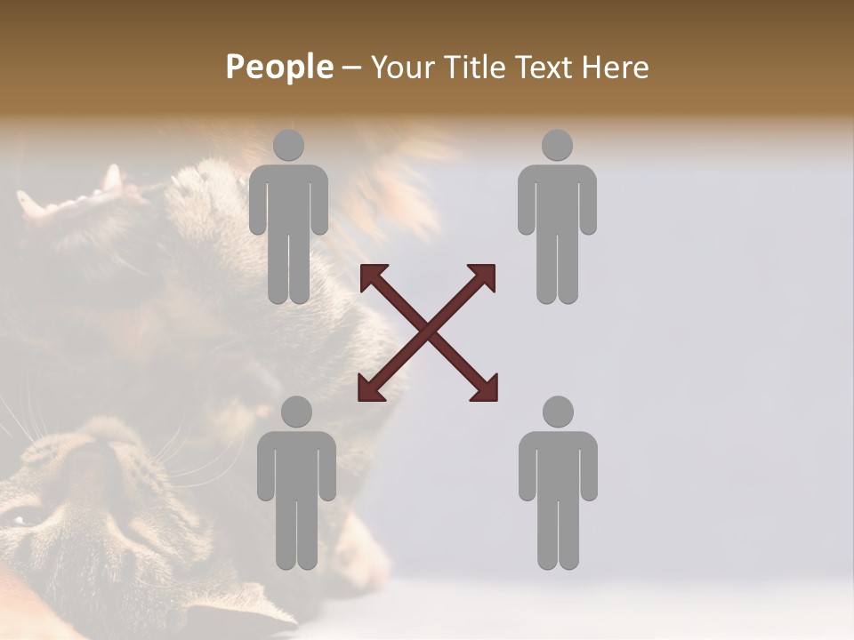 Face Young Pet PowerPoint Template