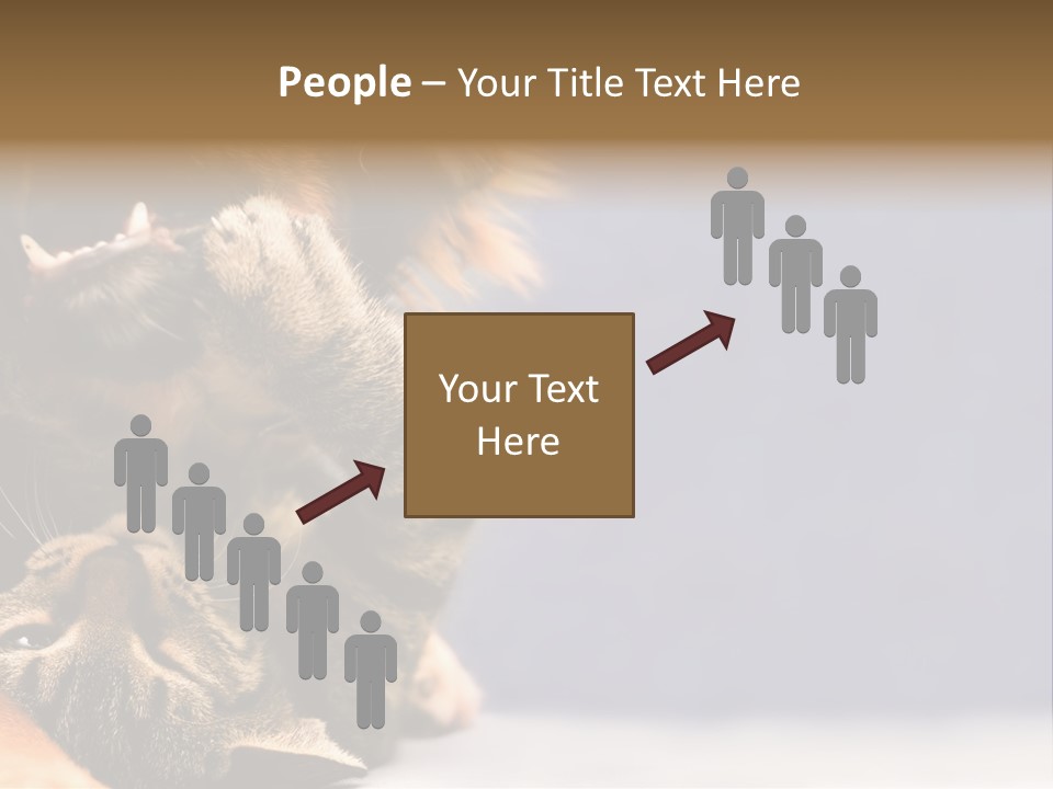 Face Young Pet PowerPoint Template