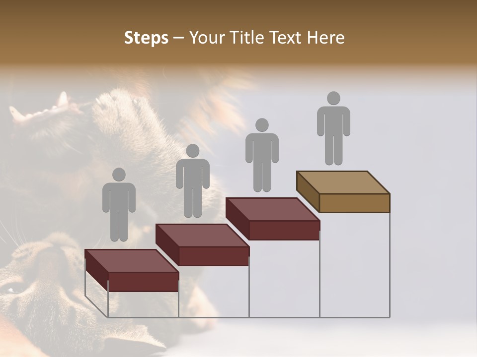 Face Young Pet PowerPoint Template