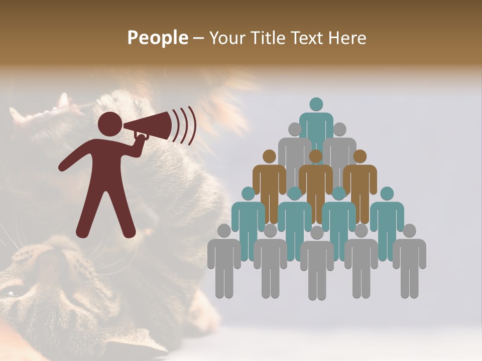 Face Young Pet PowerPoint Template