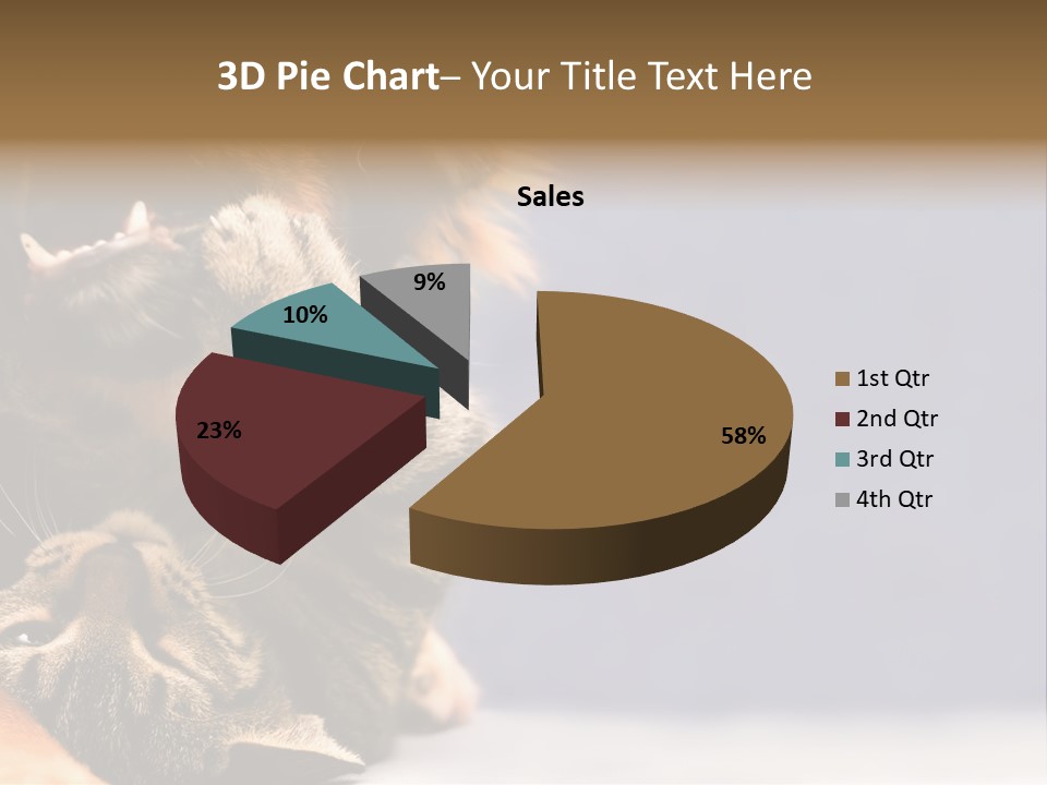 Face Young Pet PowerPoint Template