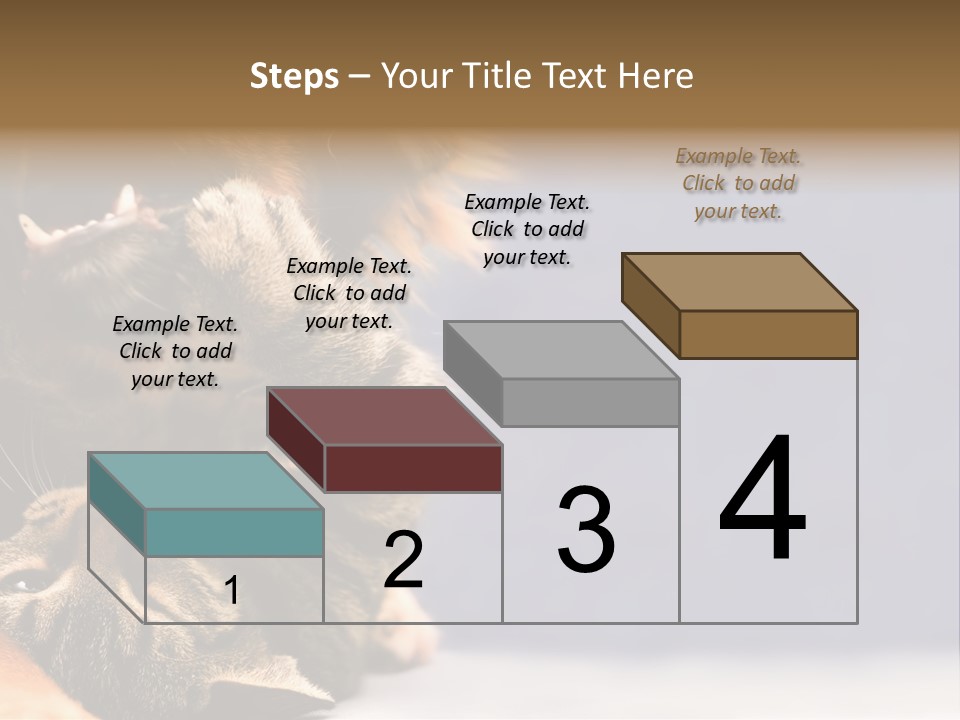 Face Young Pet PowerPoint Template