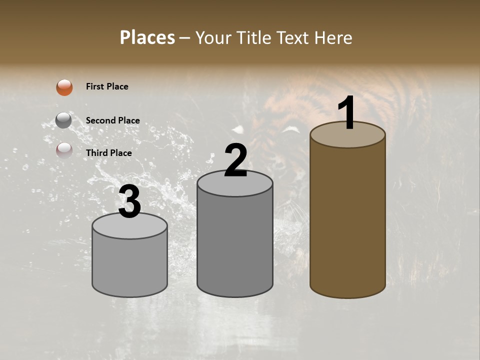 Tiger Wallpaper Hd PowerPoint Template