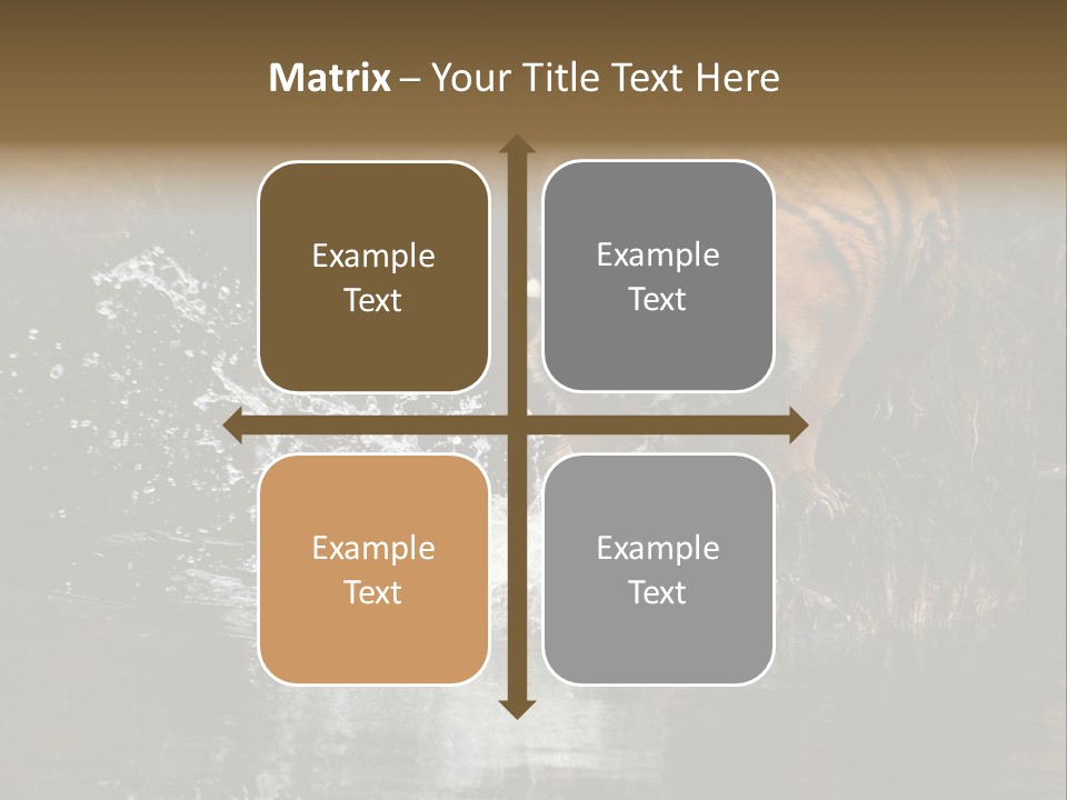 Tiger Wallpaper Hd PowerPoint Template