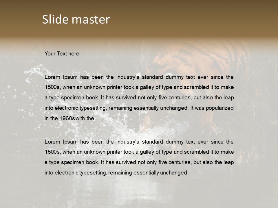 Tiger Wallpaper Hd PowerPoint Template