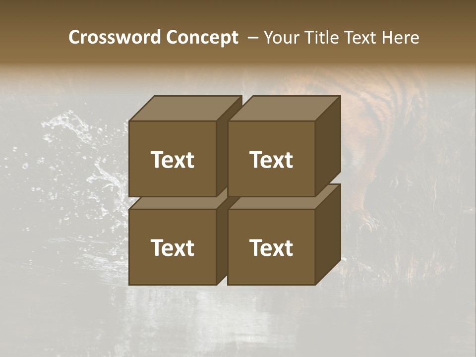 Tiger Wallpaper Hd PowerPoint Template