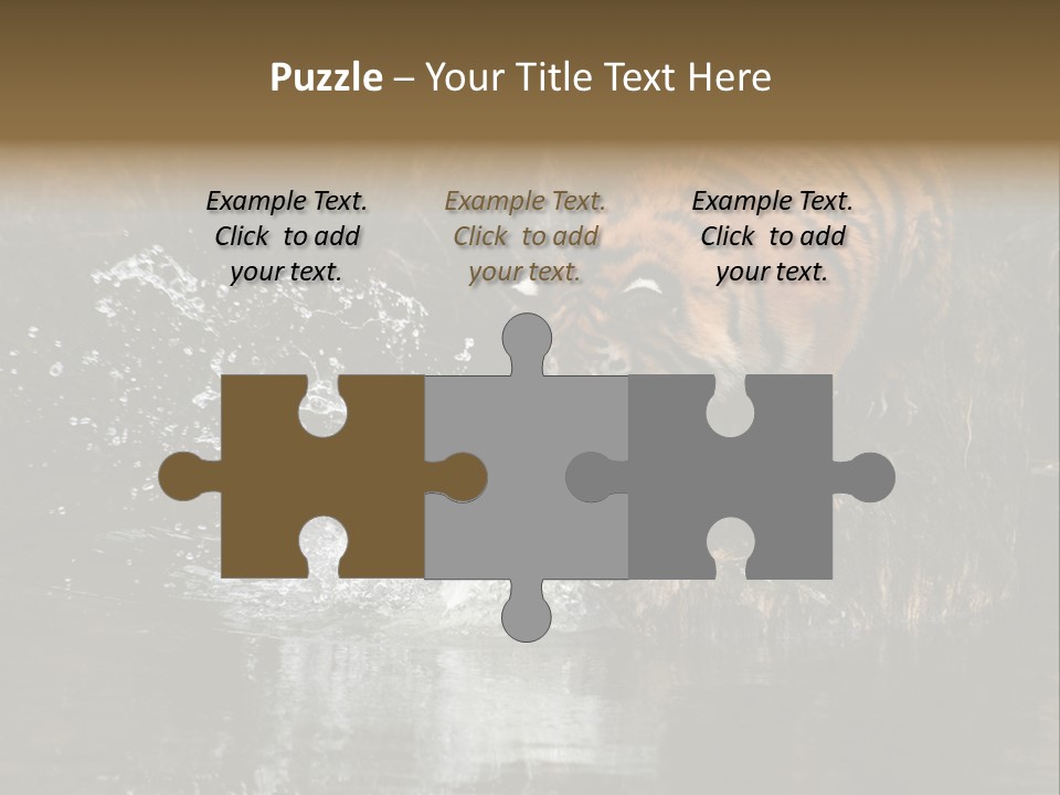 Tiger Wallpaper Hd PowerPoint Template