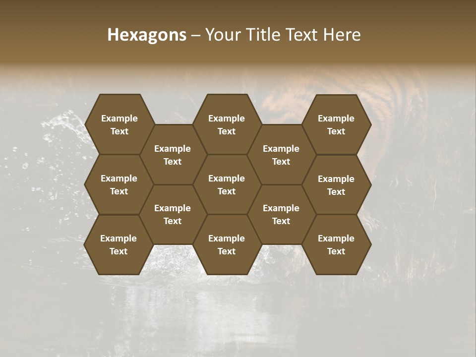 Tiger Wallpaper Hd PowerPoint Template