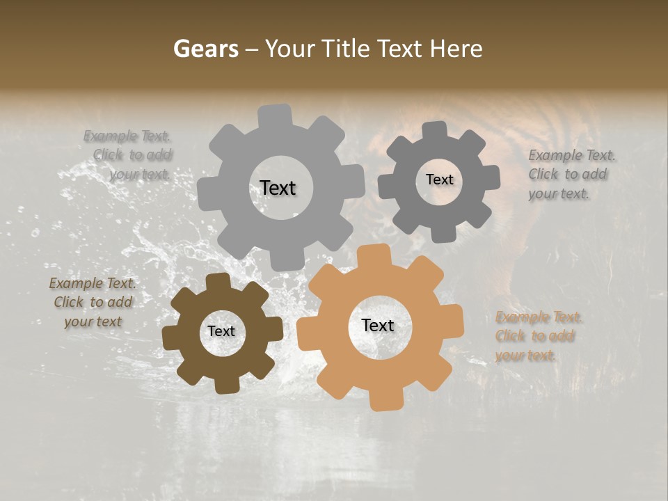 Tiger Wallpaper Hd PowerPoint Template