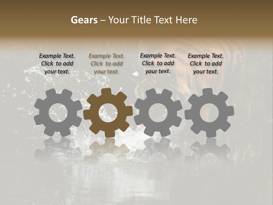 Tiger Wallpaper Hd PowerPoint Template