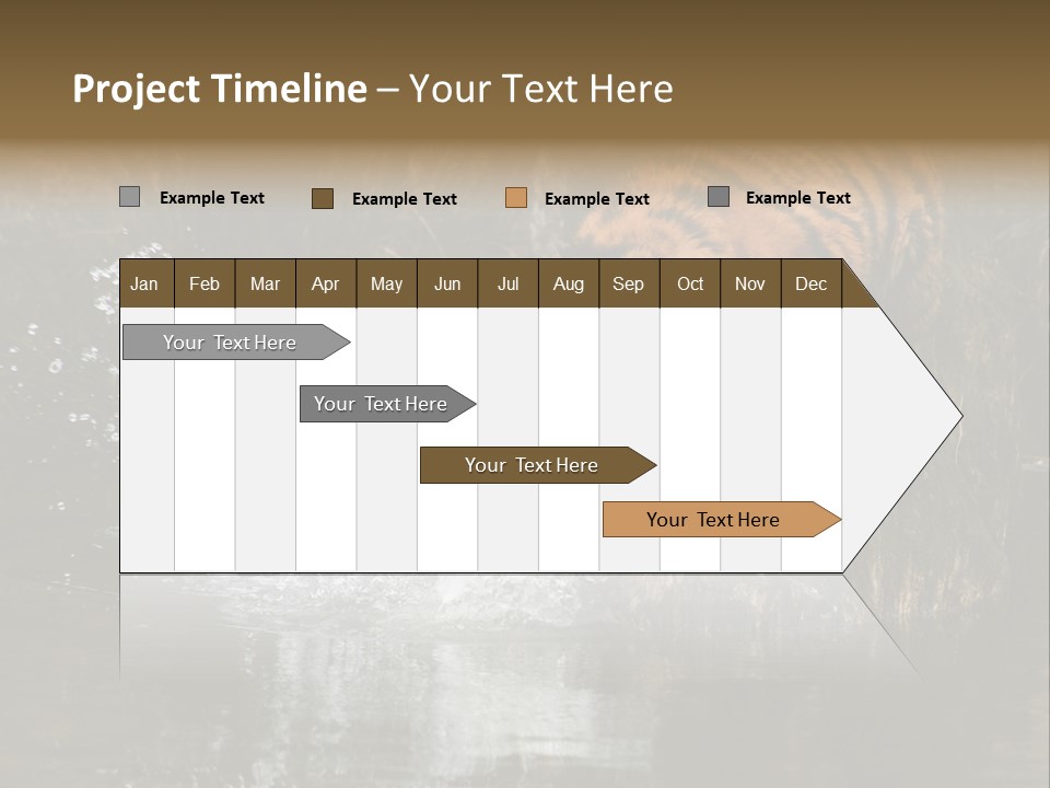 Tiger Wallpaper Hd PowerPoint Template