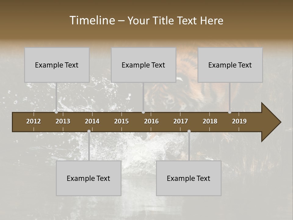 Tiger Wallpaper Hd PowerPoint Template