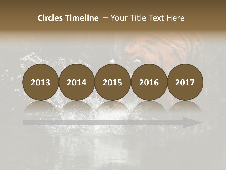 Tiger Wallpaper Hd PowerPoint Template