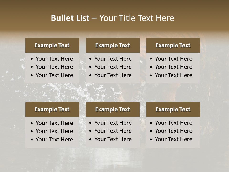 Tiger Wallpaper Hd PowerPoint Template