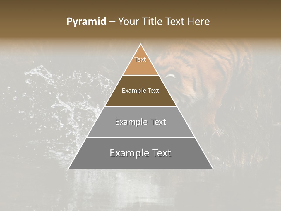 Tiger Wallpaper Hd PowerPoint Template