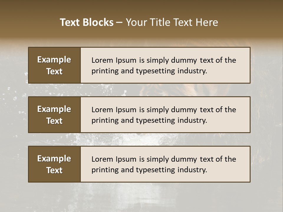 Tiger Wallpaper Hd PowerPoint Template