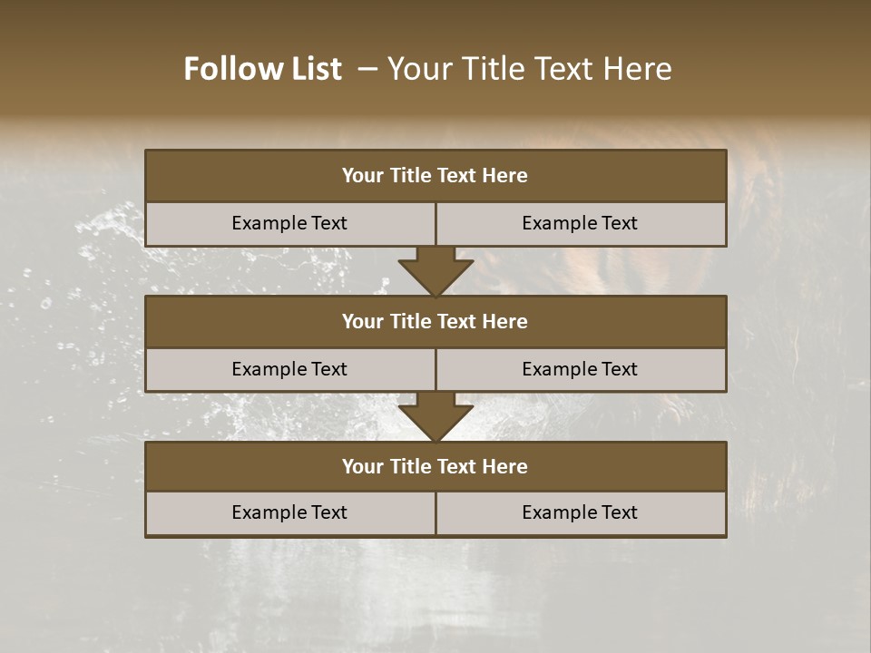 Tiger Wallpaper Hd PowerPoint Template