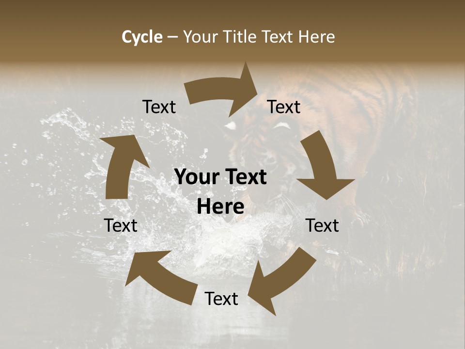 Tiger Wallpaper Hd PowerPoint Template