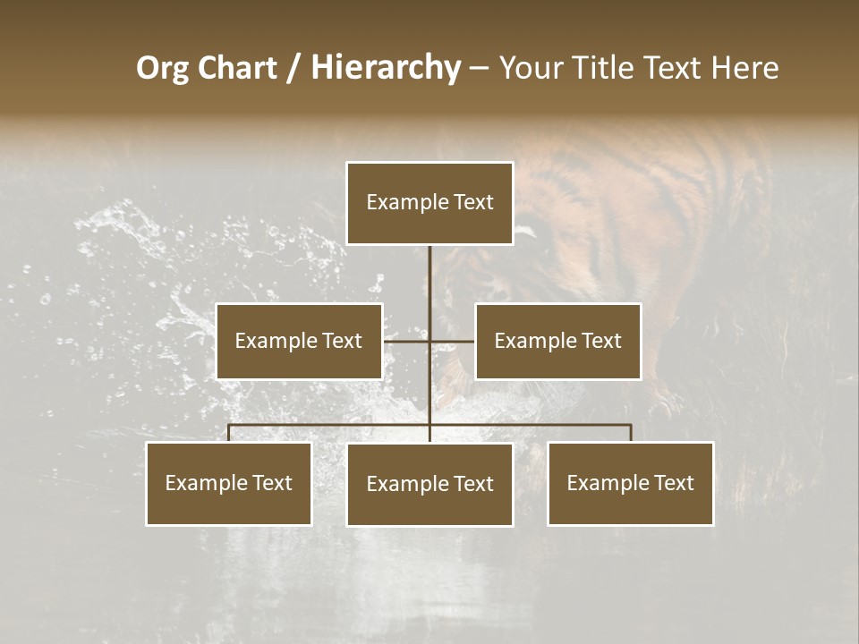 Tiger Wallpaper Hd PowerPoint Template