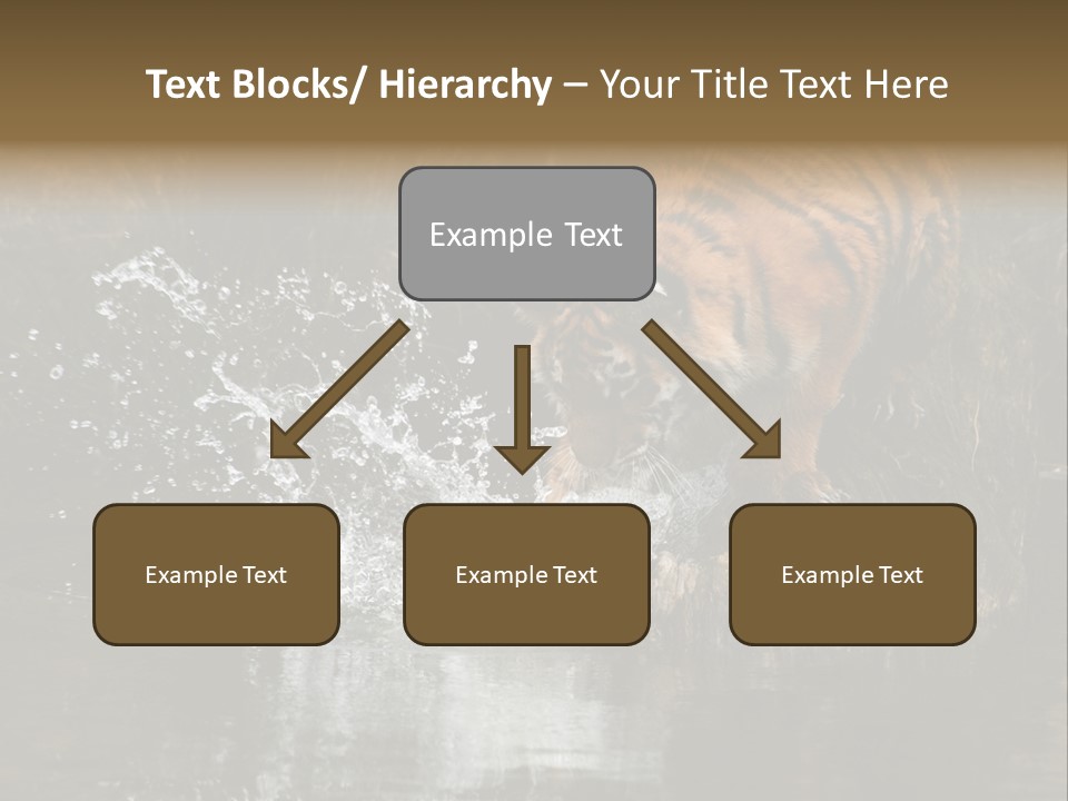 Tiger Wallpaper Hd PowerPoint Template