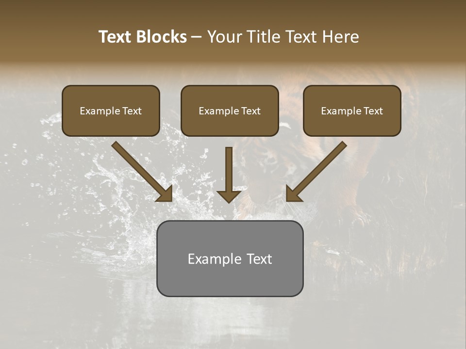 Tiger Wallpaper Hd PowerPoint Template