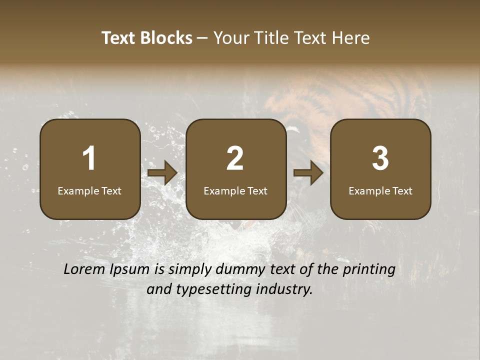 Tiger Wallpaper Hd PowerPoint Template