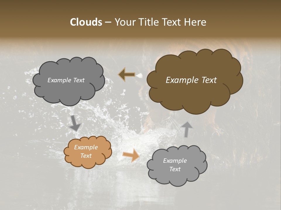 Tiger Wallpaper Hd PowerPoint Template