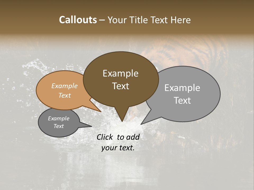 Tiger Wallpaper Hd PowerPoint Template