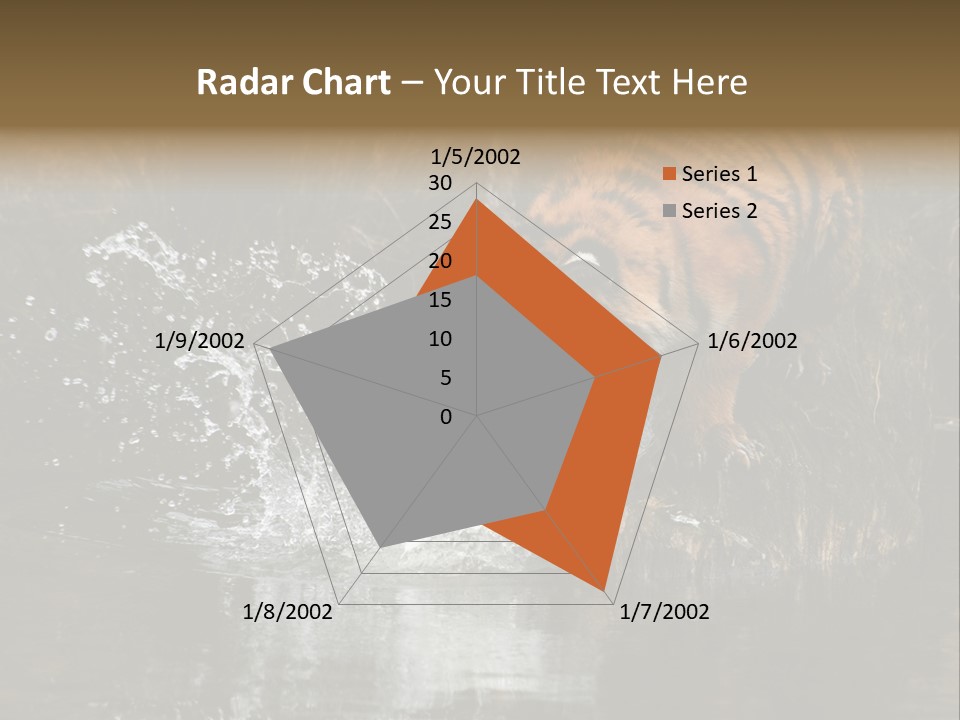 Tiger Wallpaper Hd PowerPoint Template