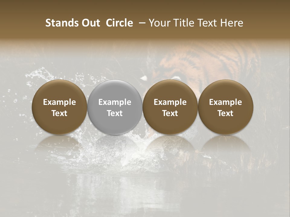 Tiger Wallpaper Hd PowerPoint Template