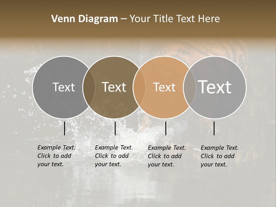 Tiger Wallpaper Hd PowerPoint Template