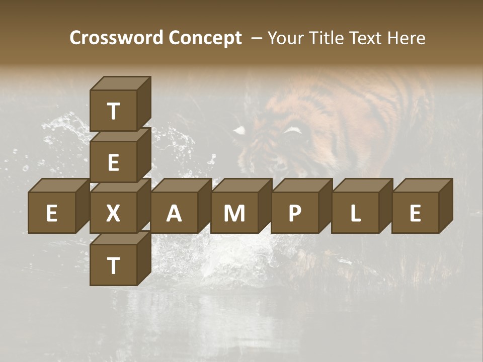 Tiger Wallpaper Hd PowerPoint Template