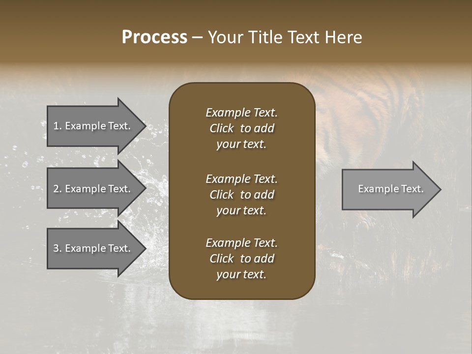 Tiger Wallpaper Hd PowerPoint Template