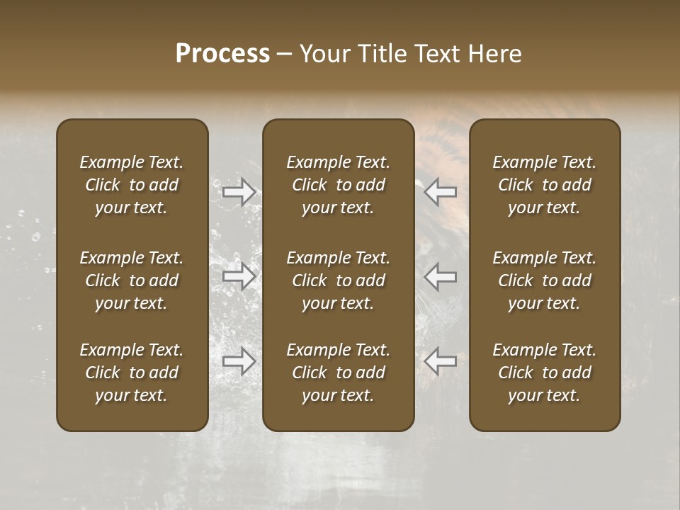 Tiger Wallpaper Hd PowerPoint Template