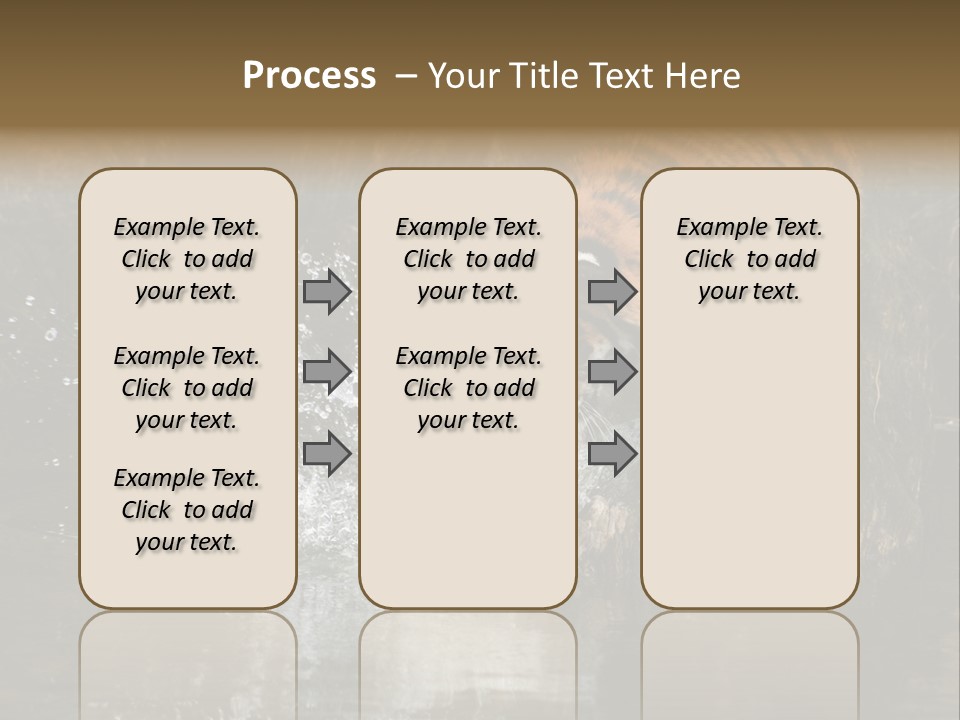 Tiger Wallpaper Hd PowerPoint Template