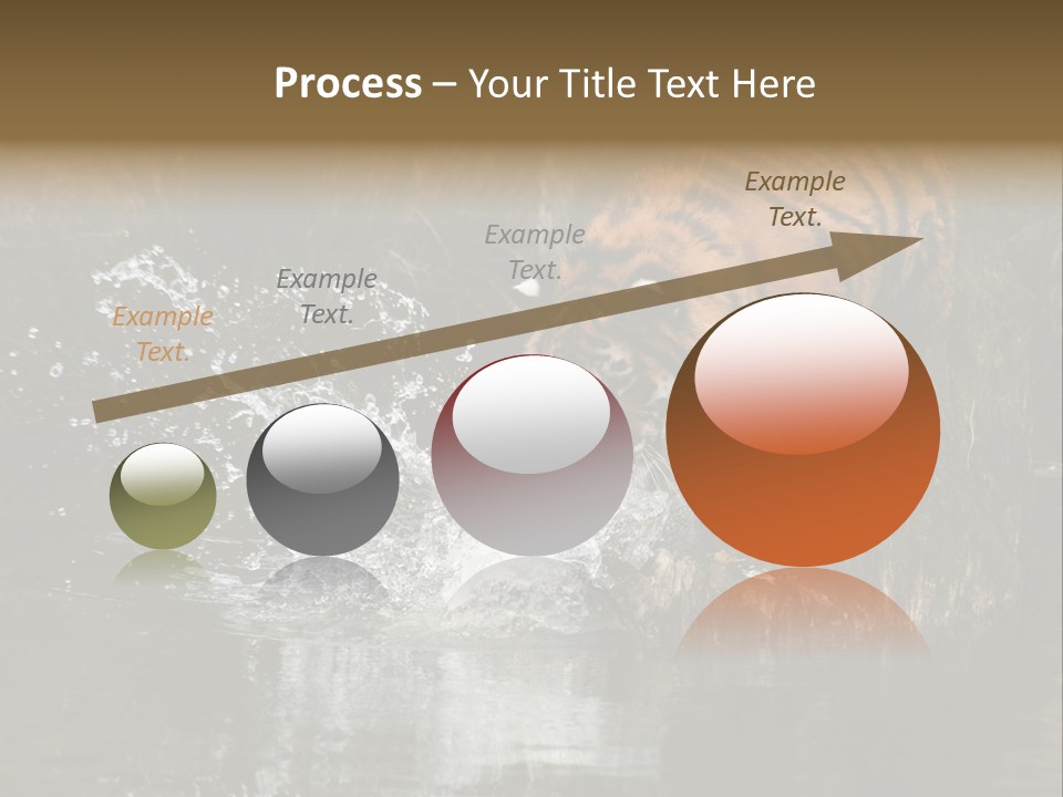 Tiger Wallpaper Hd PowerPoint Template